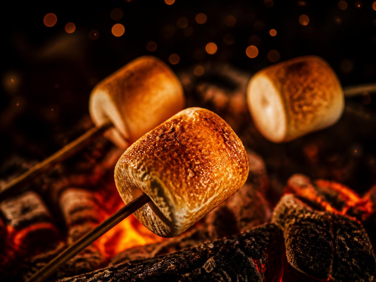 Toasted Marshmallows